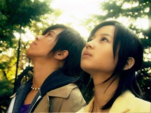 倔口真稀无码片,一场视觉与情感的震撼之旅