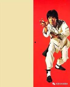 功夫明星罗锐,功夫巨星背后的奋斗与荣耀