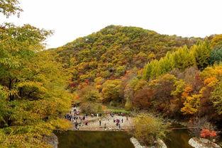日本清原,探寻日本传统工艺之美
