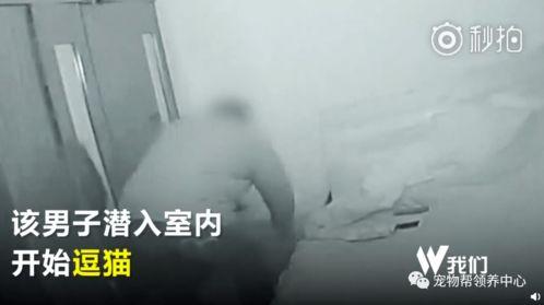 偷丝袜撸,揭秘偷丝袜撸的神秘世界