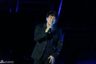 西安演唱会明星,演唱会明星闪耀时刻回顾