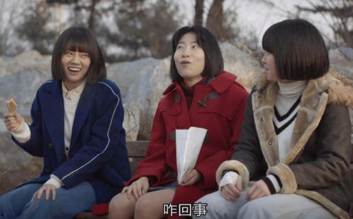 女王1988在线播放,重温英伦传奇，在线重温经典时刻