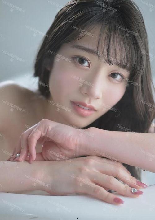 2月 av,热点事件与市场趋势解析