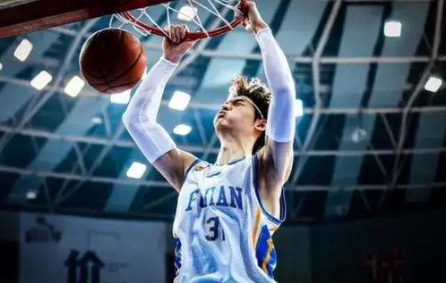 王哲林爆料视频最新版,篮球生涯背后的故事与挑战