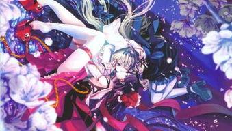 动漫丝袜无码磁力链接,探寻动漫世界中的禁忌之美