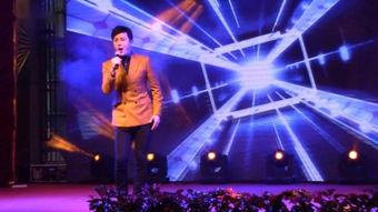 杜大伟什么明星,明星背后的故事与成长历程