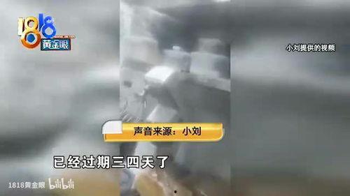 西点师视频爆料,视频爆料带你走进烘焙世界