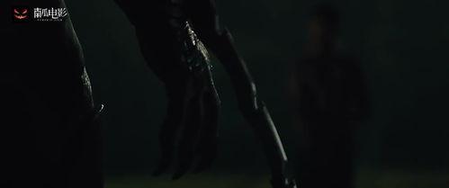 日本武士单挑游侠,日本武士与游侠的单挑传奇