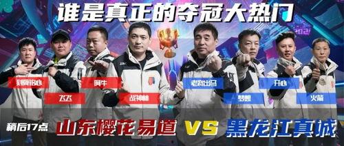 冠军来了在线观看,巅峰对决，热血激战，在线观看精彩瞬间